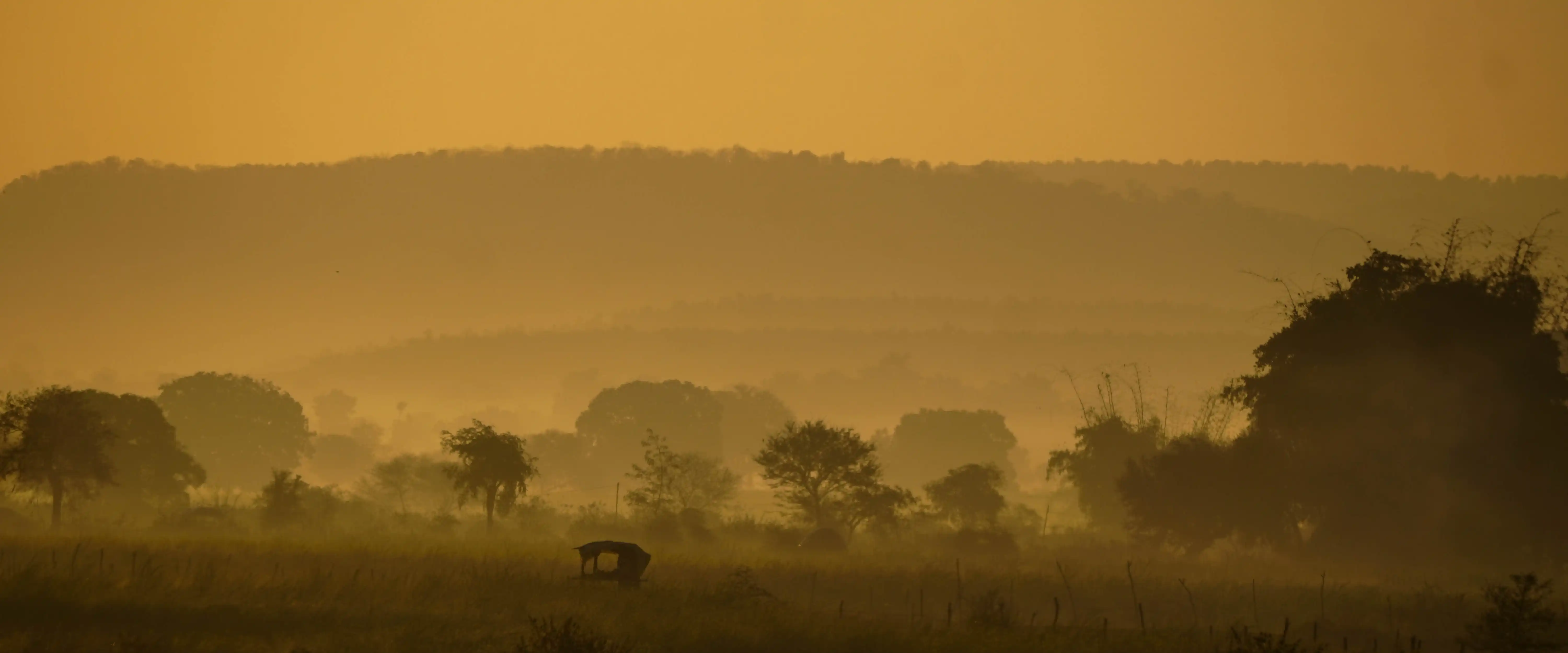 Bundelkhand morning landscape